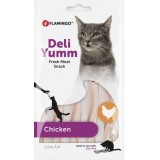 Deli Yumm Paste Chicken - Vedel suupiste kassidele kanalihaga